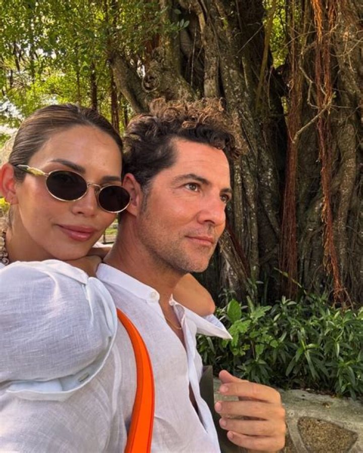 About David Bisbal’s Net Worth