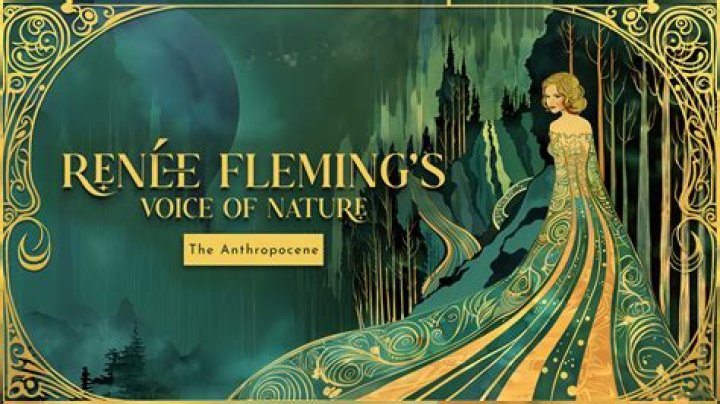 About Renée Fleming’s Wealth