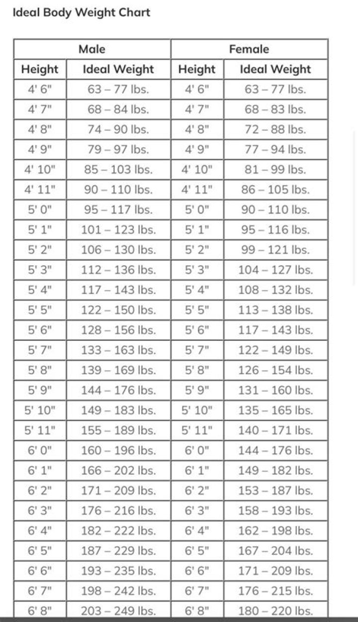 Adin Ross: All You Need to Know - Net Worth, Age, Biography, Personal Life, Height, and Weight