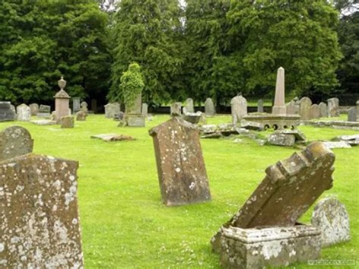 Alan Hattel, 75, declared alive after ex-wife erected gravestone declaring him dead (Photos)