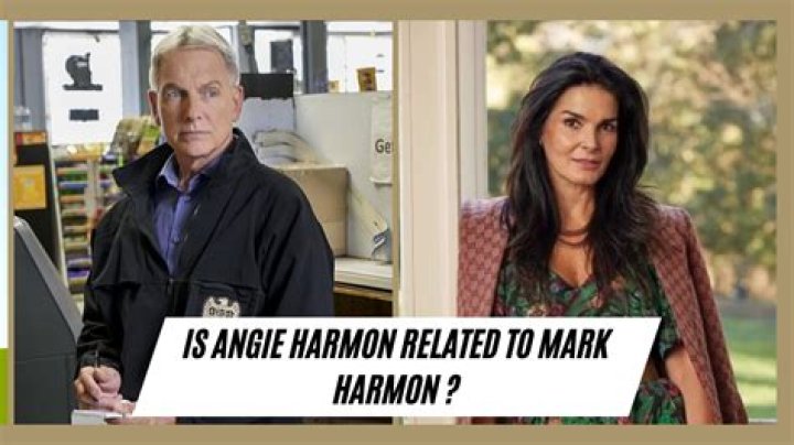 Angie Harmon – Bio, Net Worth, Body Net Worth, Is She Related To Mark Harmon?