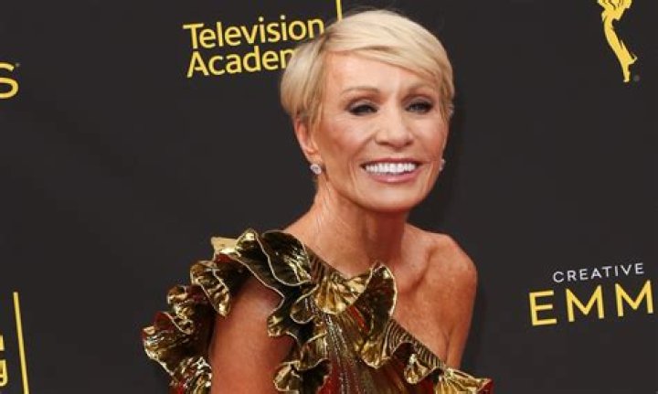 Barbara Corcoran Plastic Surgery: Insights into Barbara Corcoran’s Cosmetic Enhancements
