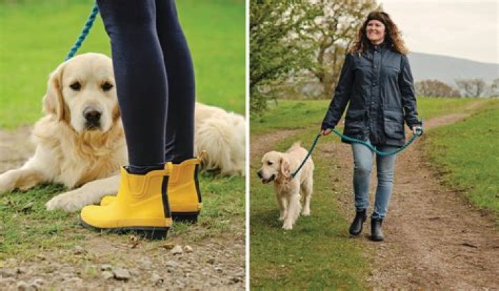 Best dog walking boots 2023: The most stylish styles to keep your feet warm and dry
