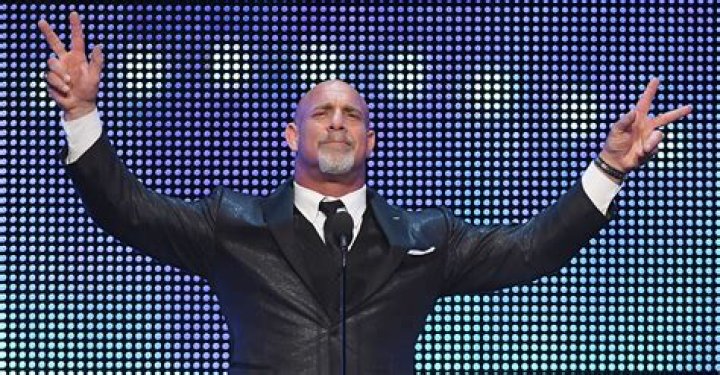 Bill Goldberg Net Worth