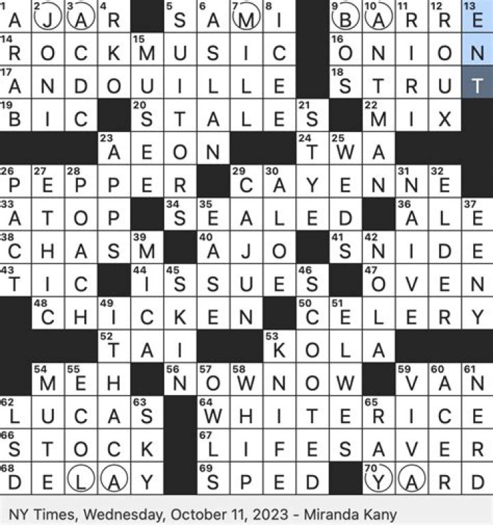 Blot with a towel, maybe Crossword Clue NYT