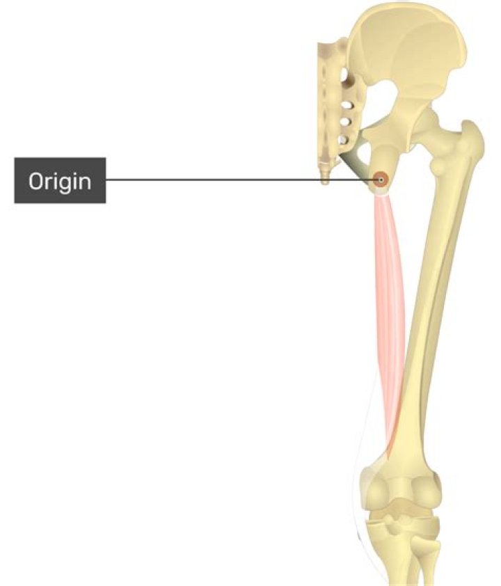 Career, biography and origin of Gerard Leclerc
