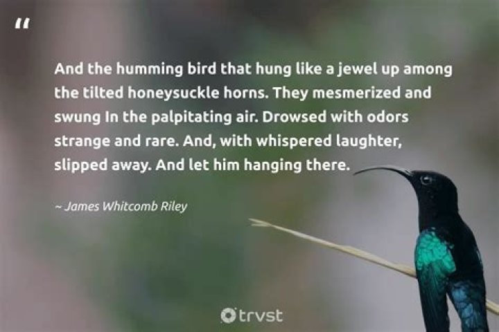 Carrie Underwood shares 'blessed' update - 'I can't seem to find the words'