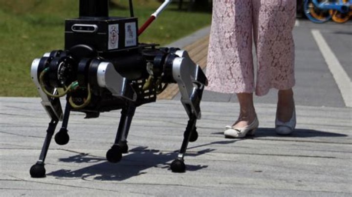 Covid-19: Singapore Utilizes Robot ‘Dog’ to Encourage Social Distancing (Photos)