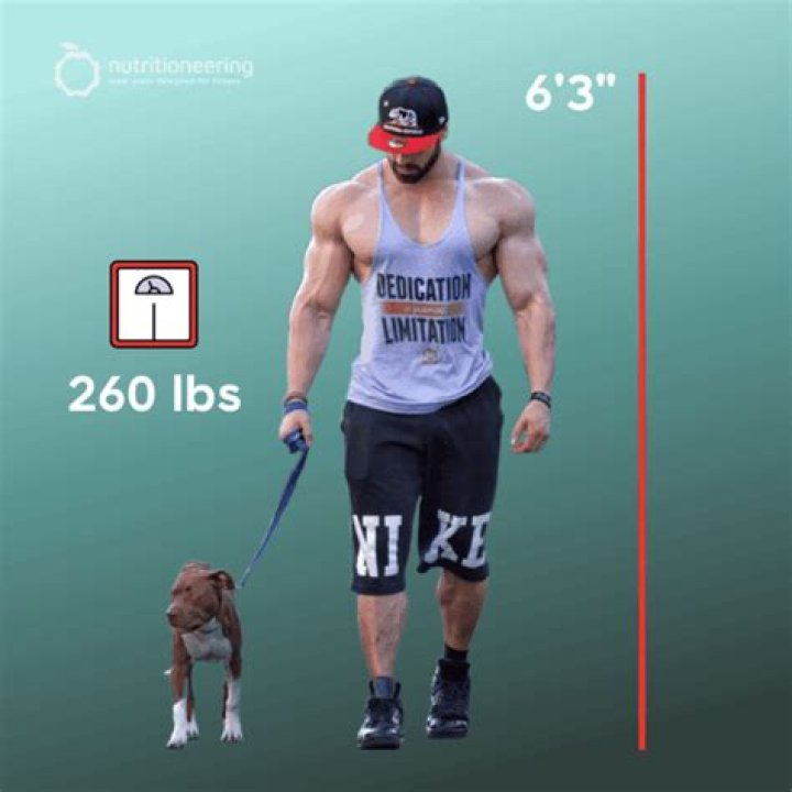 Discovering Bradley Martyn’s Height – How Tall is Bradley Martyn?