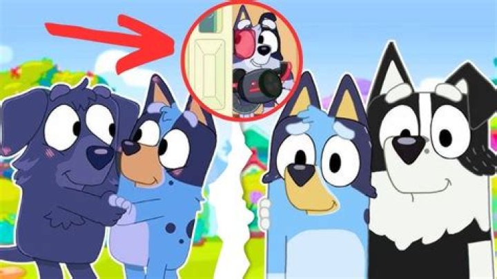 Discovering the Voice Actors of Bluey and Bingo