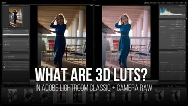 do luts work in lightroom?