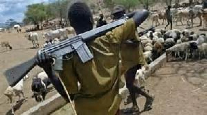 ESN Issues Warning to Armed Herdsmen and Vigilante Outfits Operating in Southeast
