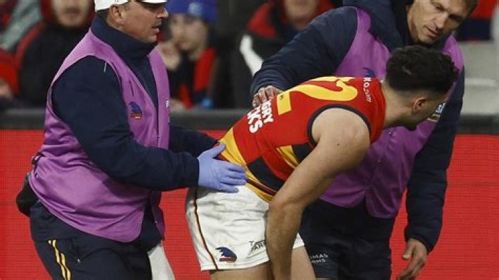 Essendon and Adelaide hit with serious injuries after Round 19 losses