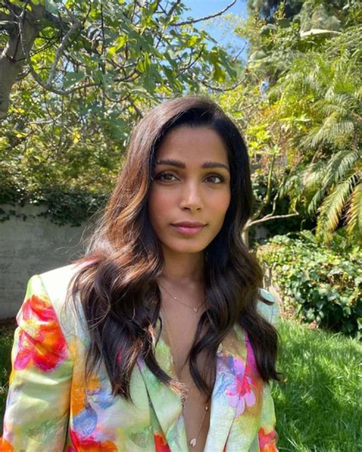 Freida Pinto Net Worth