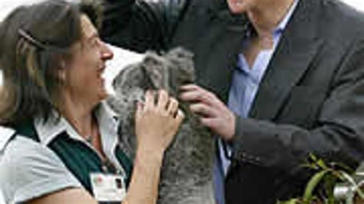 HARRY GETS A FURRY WELCOME DOWN UNDER