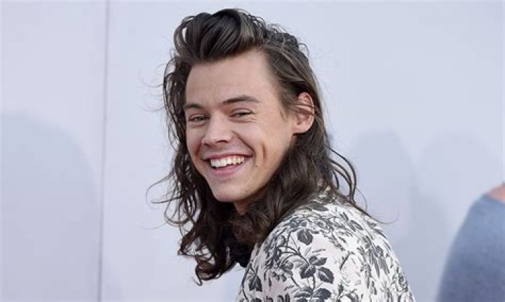 Harry Styles FINALLY shows off his new short hair