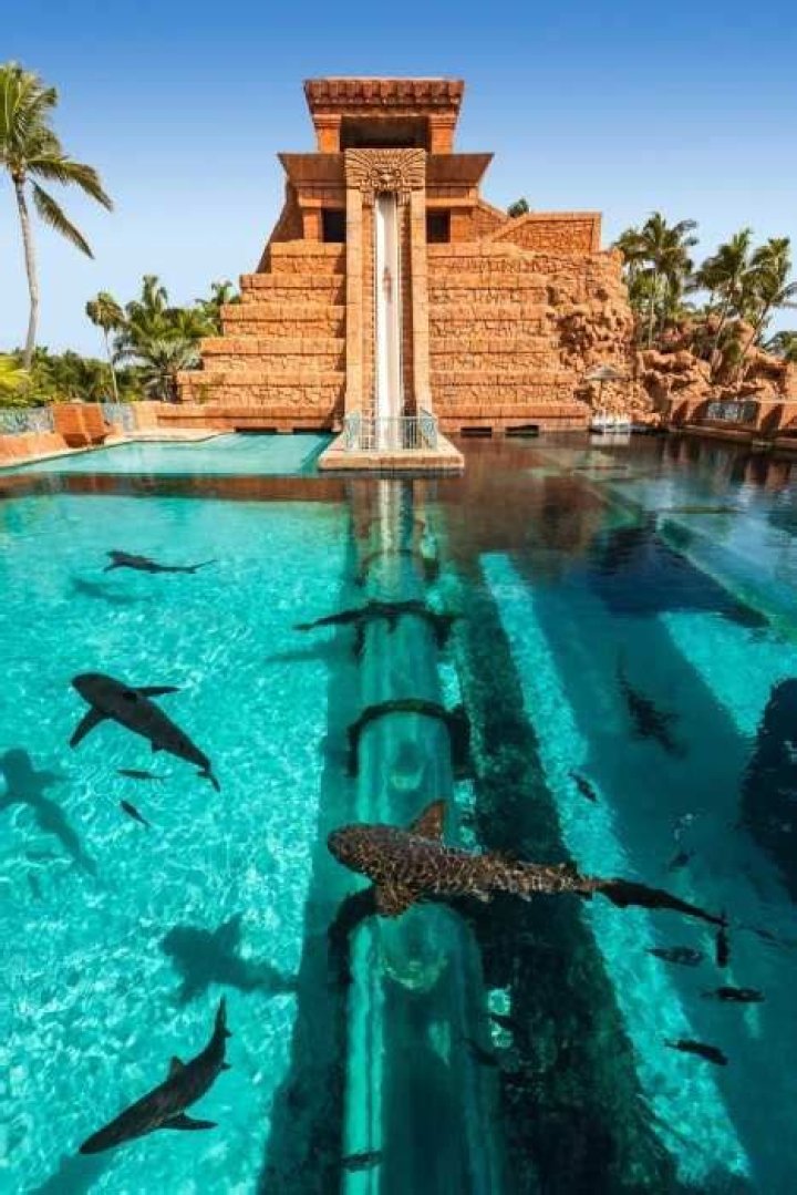 Honeymooning like a celebrities and royalty at Atlantis Paradise Island in the Bahamas