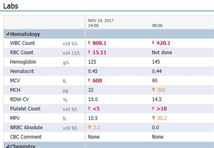 How do I get my LifeLabs results online?