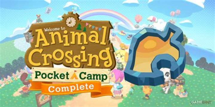 How do you sign out of camp on Animal Crossing pocket?