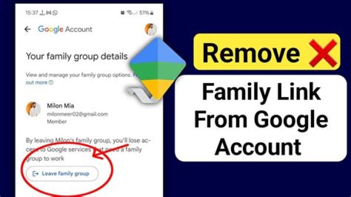 how to autorice a complete domine in google family link?