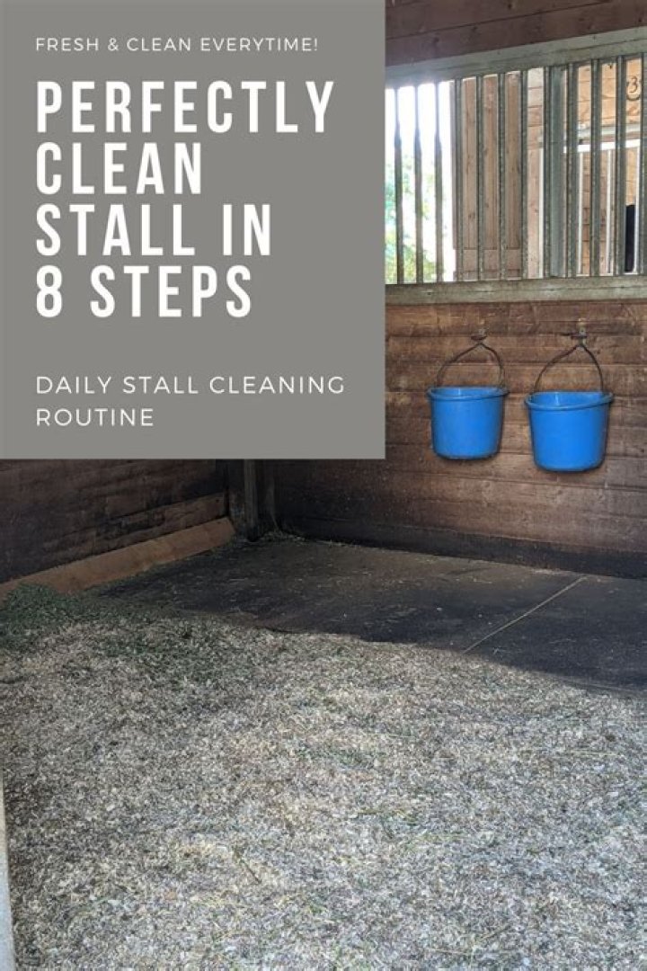 how to clean a horse stall?