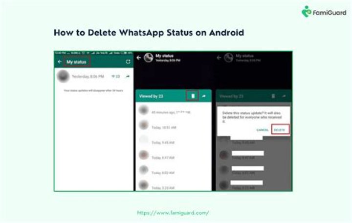 how to delete others status in whatsapp?