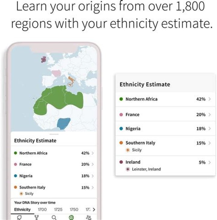 how to do ethnicity estimate on instagram?