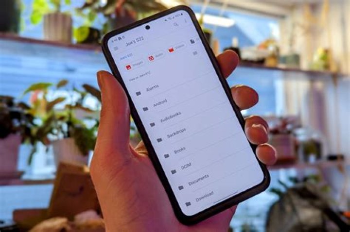 how to get huniepop on android?