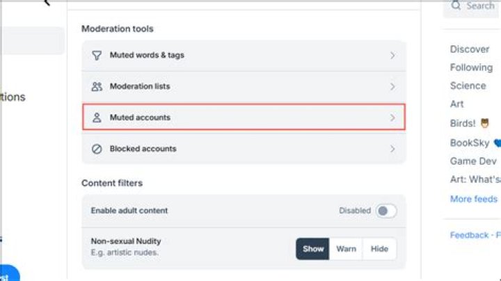 how to see list of muted accounts on instagram?