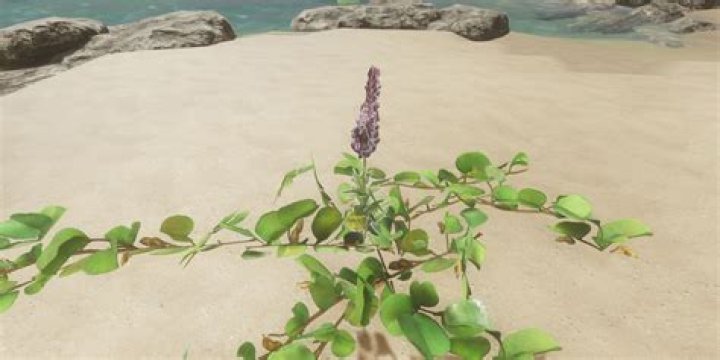 how to water plants stranded deep ps4?