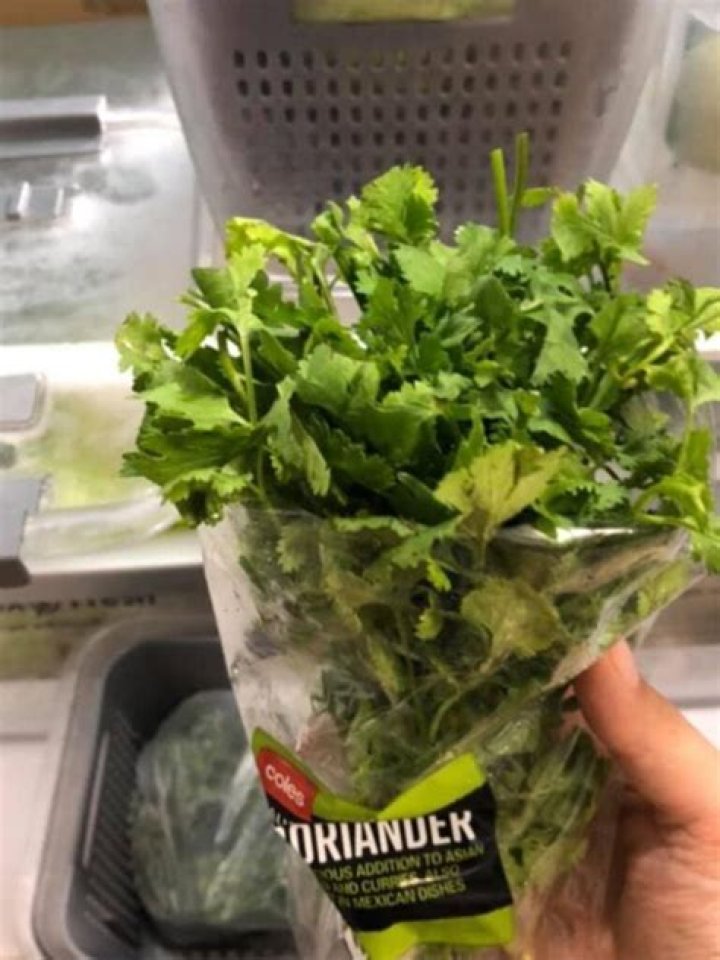 Kmart hack: Container keeps herbs fresh for ‘6 weeks’