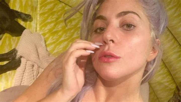 Lady Gaga goes topless as she sunbathes at incredible Malibu mansion