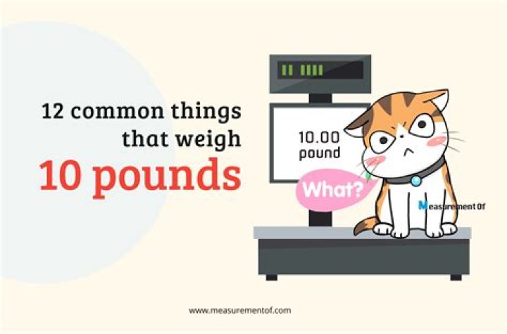 “N9.7m gone” – Lady in severe pains as she pays 10,000 Pounds to get job in UK, arrives London, finds out it is fake