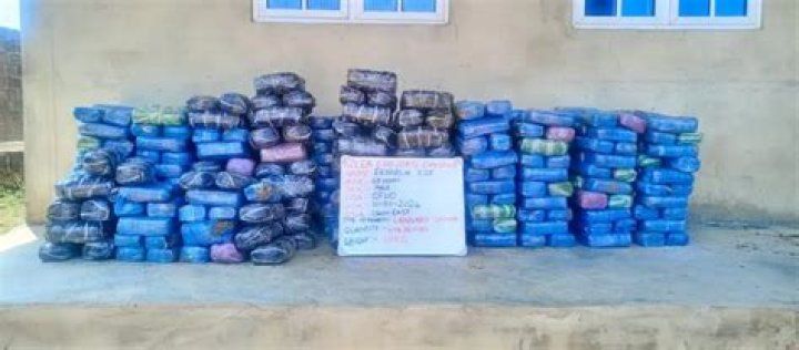 NDLEA intercepts large consignment of Canadian loud, UK, Italy-bound opioids in Lagos