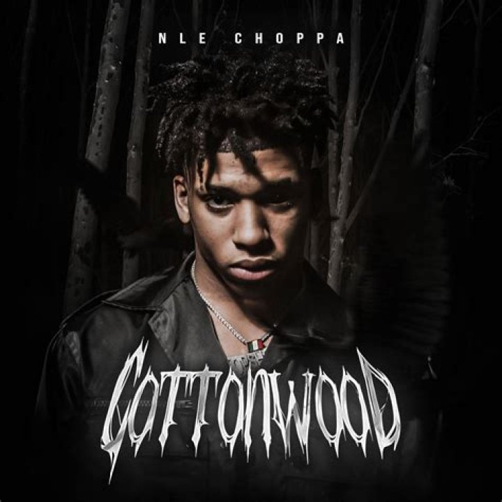 Nle Choppa Missing, Cottonwood AZ Rapper Is Missing According To His Mother