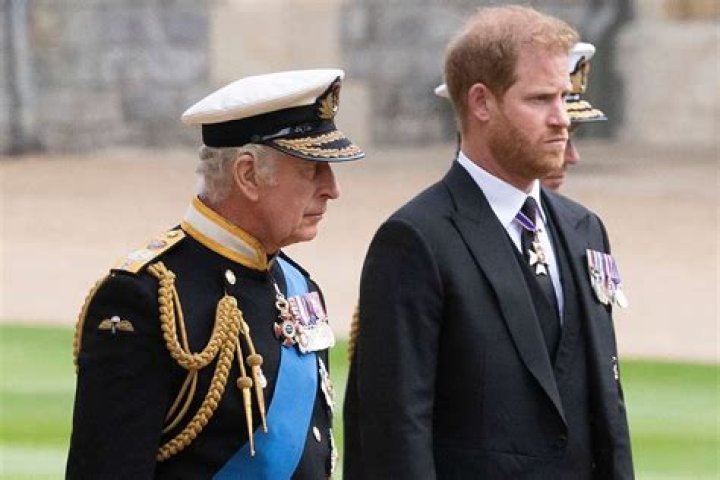 Palace Insider Claims King Charles is Disheartened, Confused, and Frustrated by Prince Harry’s Legal Actions Against UK Institutions