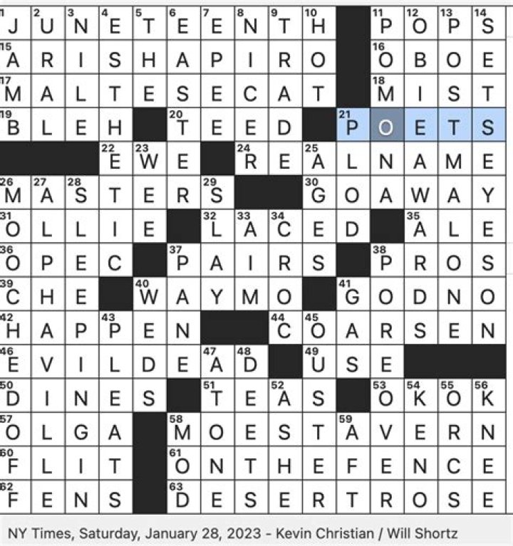 Politico Buttigieg Crossword Clue NYT