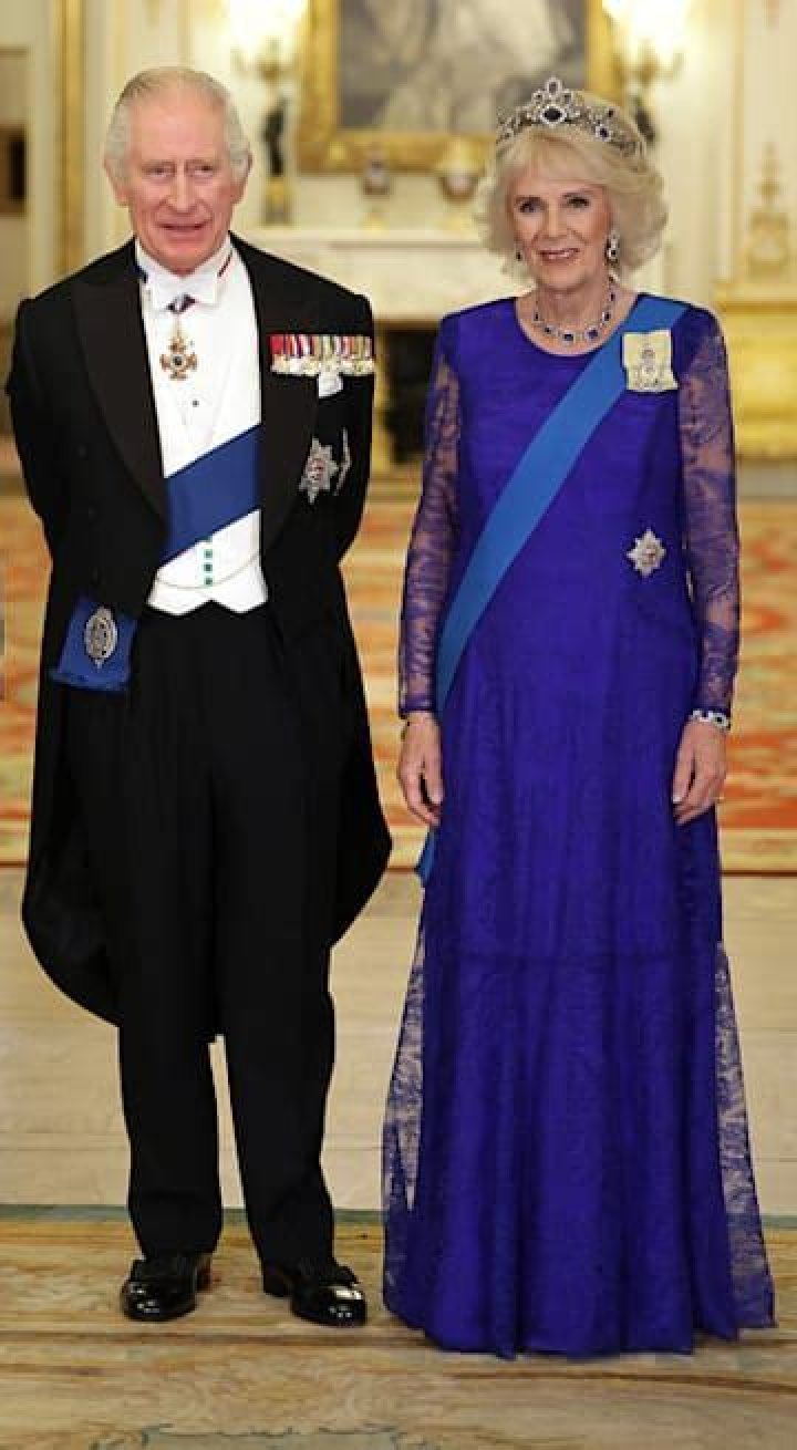 Queen Consort Camilla glitters in matching dress and tiara for state banquet
