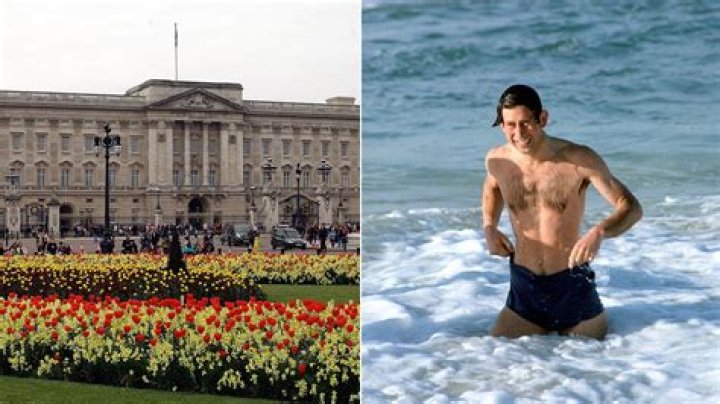 Secret facts about Buckingham Palace's swimming pool where King Charles learnt to swim