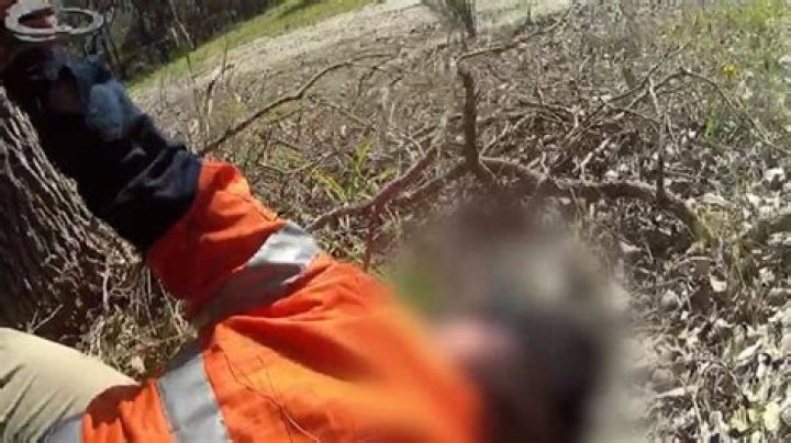 Stake Hill, WA: Buried meth accused David Crawford to fight charges