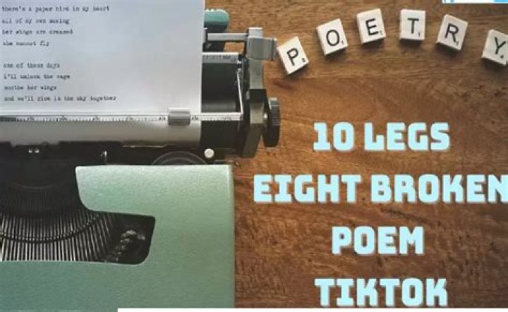TikTok’s Poem ’10 Legs Eight Broken’: Decrypting its Meaning