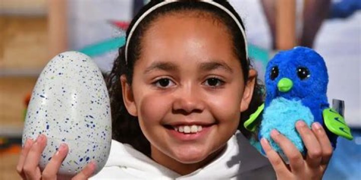 Toys AndMe Net Worth