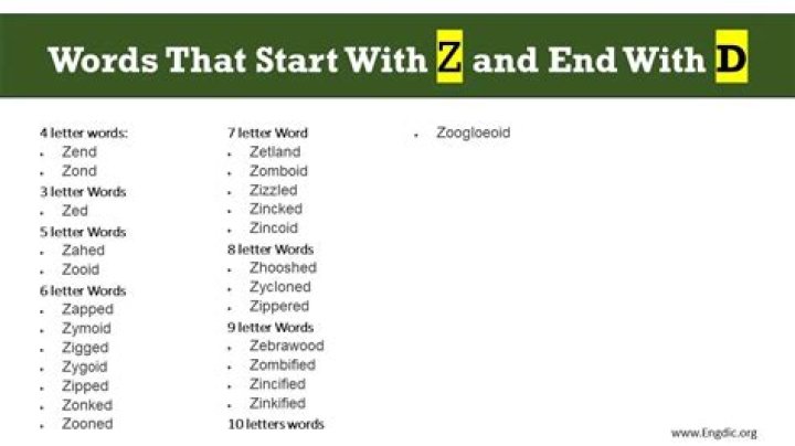 Words That Start With Z And End With T, Check Out Words Starting With Z And Ending With T List Here